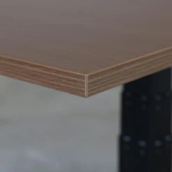 Elektrisch Verstelbaar Bureau - 140x80 Cm - Single Motor - Zwart / Donker Eiken -VIDAXL Verkoopwinkel 1000033627 0102