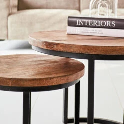 Industriële Salontafel Set Van 2 Emmy Mangohout 53x53x45 Cm Mangohout -VIDAXL Verkoopwinkel 1000093607 0103