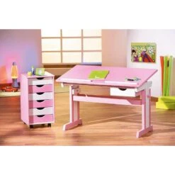 Kinderbureau Cecilia - Roze - 65,5x109x55,5 Cm -VIDAXL Verkoopwinkel 81013312 0400