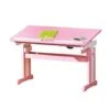 Kinderbureau Cecilia - Roze - 65,5x109x55,5 Cm -VIDAXL Verkoopwinkel 81013312