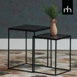 Salontafels Dayton Set Van 2 - Mangohout - Bruin - Vierkant -VIDAXL Verkoopwinkel a71fd44154f54b18947ca447d08d71fa