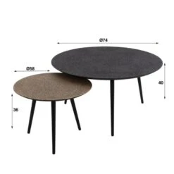 Hoyz - Salontafel Metallic - Rond - Grijs - Set Van 2 9 Hoyz - Salontafel Metallic - Rond - Grijs - Set Van 2 -VIDAXL Verkoopwinkel abd38ec9331947209a822bc0073880cc